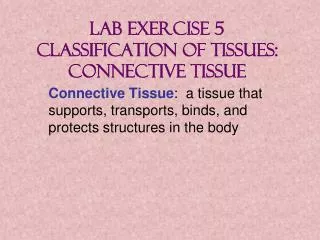 Lab Exercise 5 Classification of Tissues: Connective Tissue