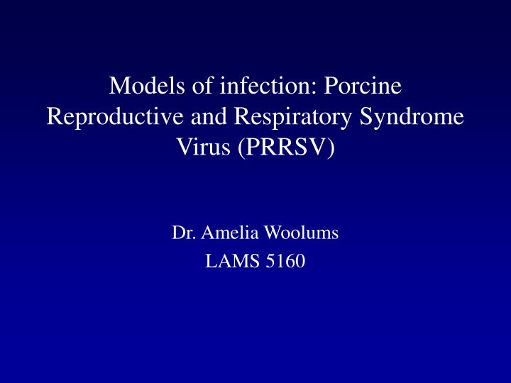 models of infection porcine reproductive and respiratory syndrome virus prrsv