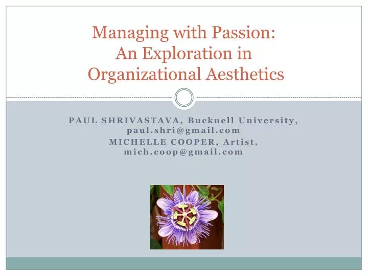managing with passion an exploration in organizational aesthetics