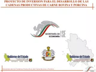 PROYECTO DE INVERSIÓN PARA EL DESARROLLO DE LAS CADENAS PRODUCTIVAS DE CARNE BOVINA Y PORCINA