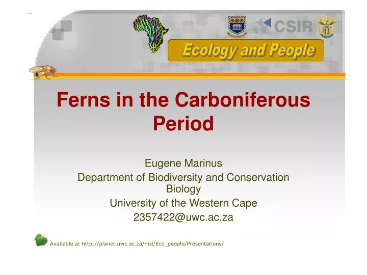 ferns in the carboniferous period