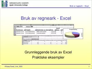 Bruk av regneark - Excel