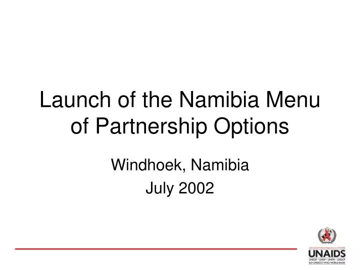 launch of the namibia menu of partnership options