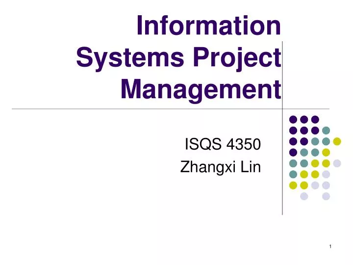 information systems project management