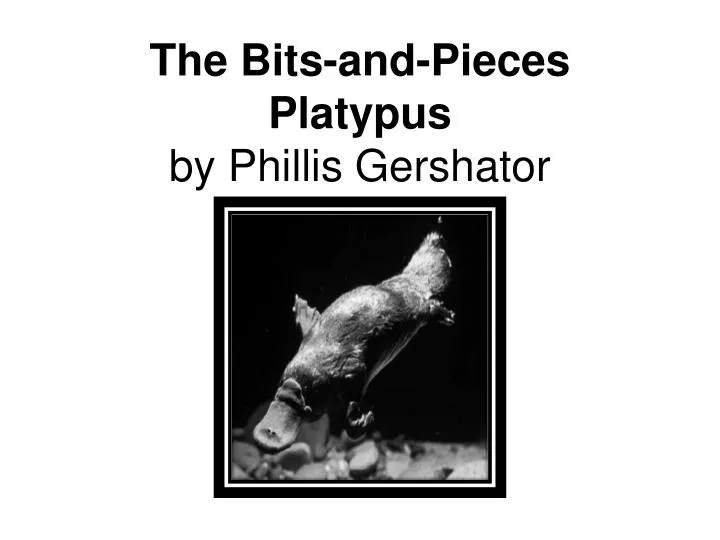 the bits and pieces platypus by phillis gershator