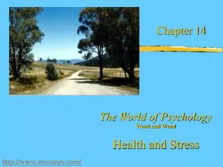 The World of Psychology Wood and Wood Health and Stress