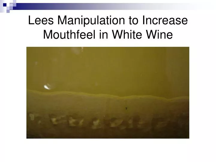 lees manipulation to increase mouthfeel in white wine