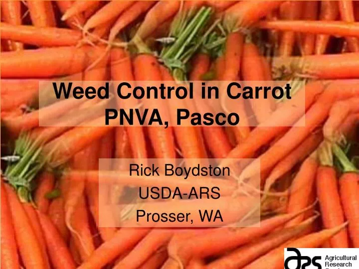 weed control in carrot pnva pasco