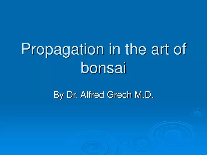 propagation in the art of bonsai