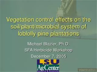 Vegetation control effects on the soil/plant/microbial system of loblolly pine plantations