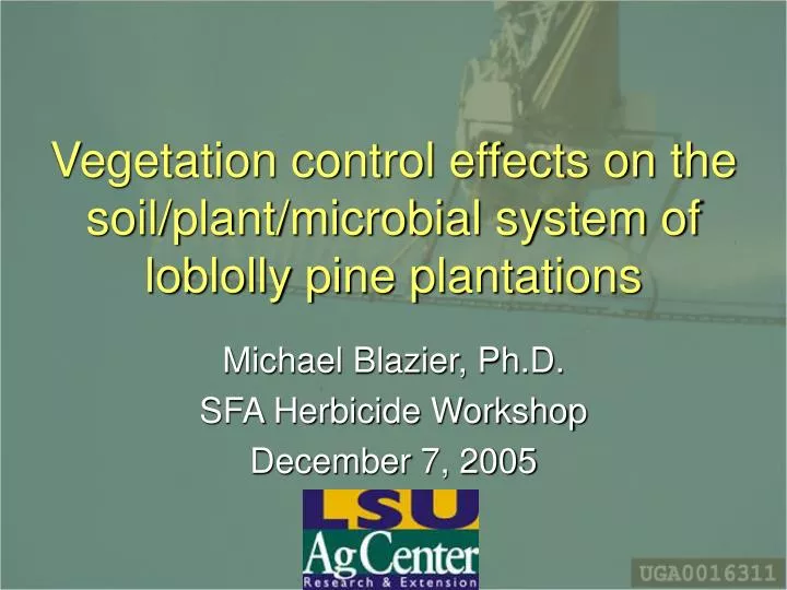vegetation control effects on the soil plant microbial system of loblolly pine plantations