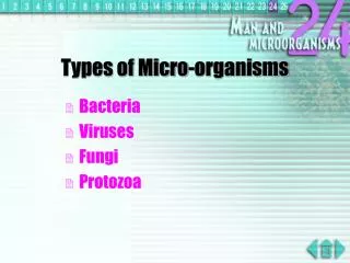 Types of Micro-organisms