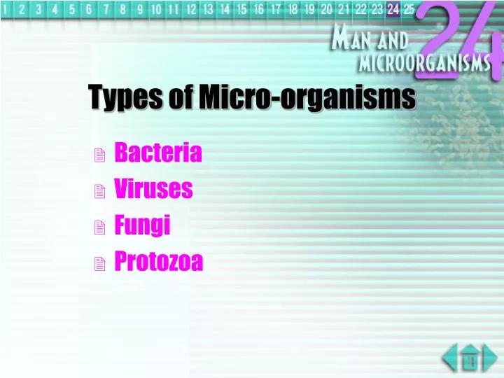 types of micro organisms