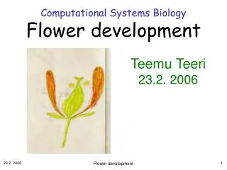 Computational Systems Biology Flower development