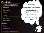 Week 5 lab: - slide 1