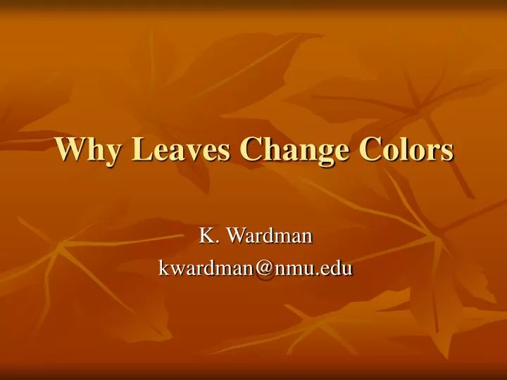 why leaves change colors