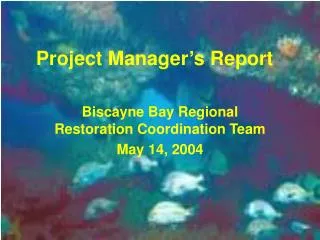 Project Manager’s Report