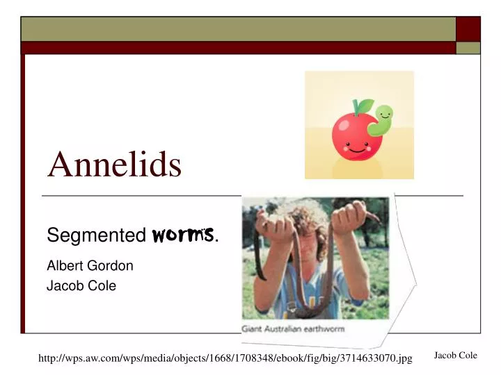 annelids