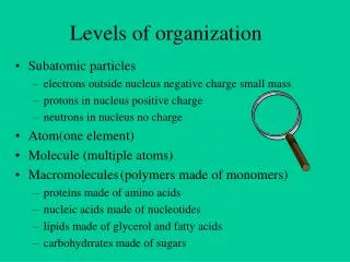 Levels of organization