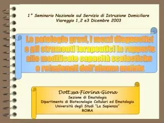 1° Seminario Nazionale sul Servizio di Istruzione Domiciliare Viareggio 1,2 e3 Dicembre 2003
