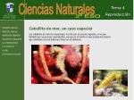 Ciencias Naturales - slide 1