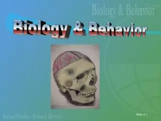 Biology &amp; Behavior