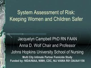 System Assessment of Risk: Keeping Women and Children Safer