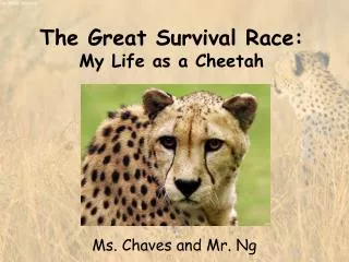 The Great Survival Race: My Life as a Cheetah