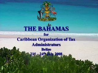 THE BAHAMAS for Caribbean Organization of Tax Administrators Belize 21 st – 24 th July 2008