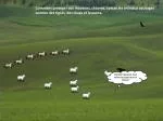 cow - slide 1