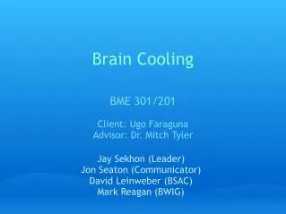 Brain Cooling