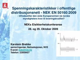 NEKs Elsikkerhetskonferanse 28. og 29. Oktober 2009