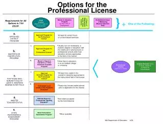 Options for the Professional License