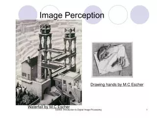 Image Perception
