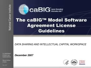 The caBIG™ Model Software Agreement License Guidelines