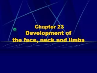 Chapter 23 Development of the face, neck and limbs