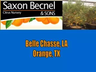 Belle Chasse, LA Orange, TX