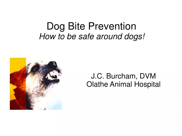 j c burcham dvm olathe animal hospital