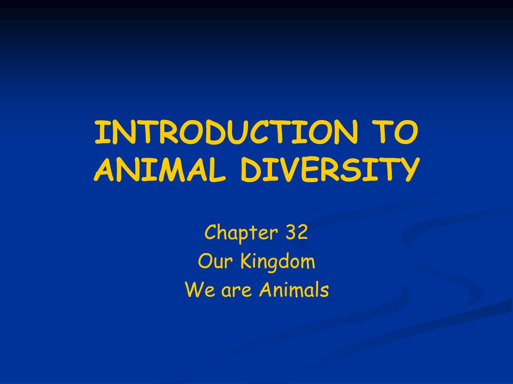 PPT - INTRODUCTION TO ANIMAL DIVERSITY PowerPoint Presentation, free ...