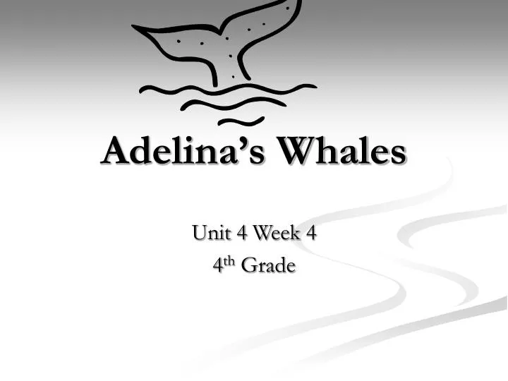 adelina s whales