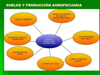 SUELOS Y PRODUCCIÓN AGROPECUARIA