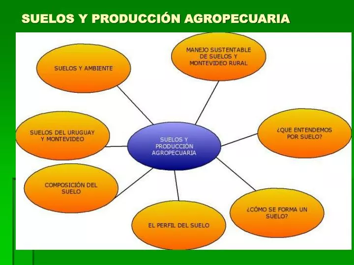 suelos y producci n agropecuaria