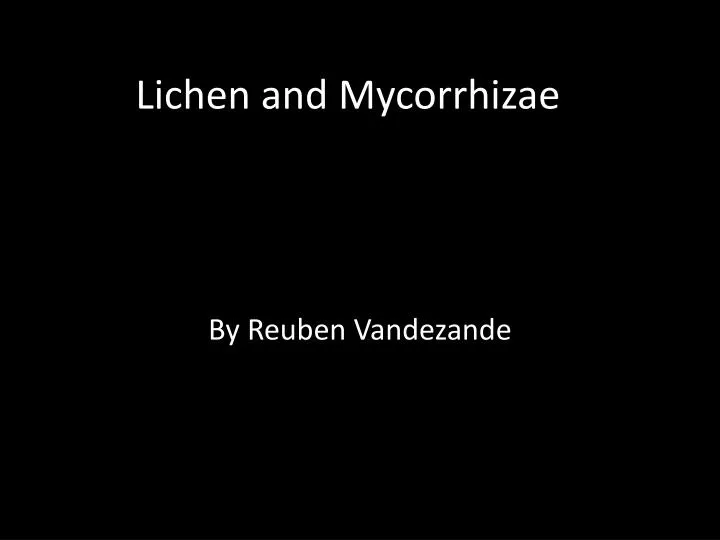 lichen and mycorrhizae