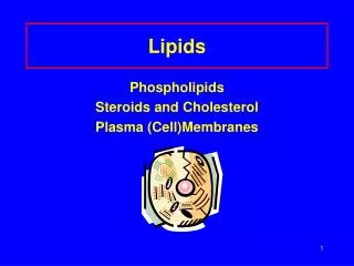 Lipids