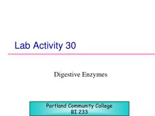 Lab Activity 30