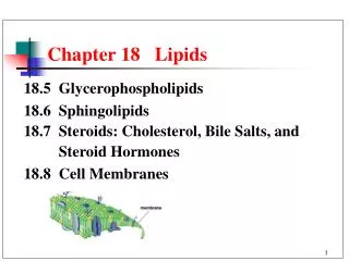Chapter 18 Lipids