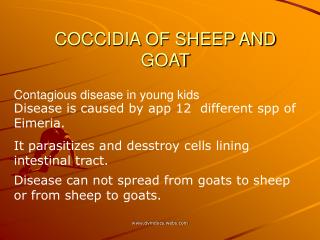 COCCIDIA OF SHEEP AND GOAT