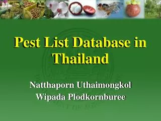Pest List Database in Thailand