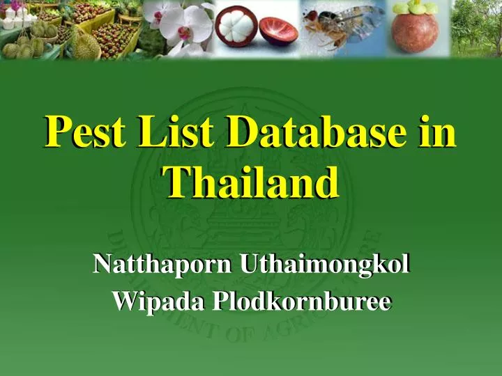 pest list database in thailand