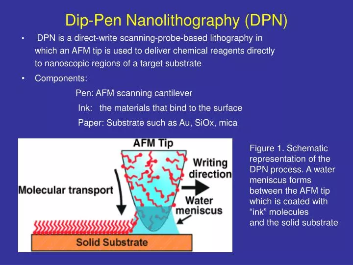 dip pen nanolithography dpn